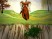 images/angefalaise.gif
