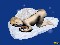 images/bebe.gif